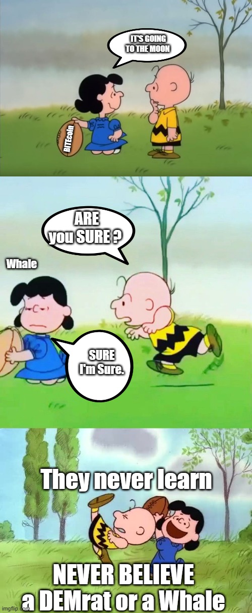 NANCYs a registered DEMrat .. Don't be like Charlie.. | IT'S GOING TO THE MOON; BITEcoin; ARE you SURE ? Whale; SURE I'm Sure. They never learn; NEVER BELIEVE a DEMrat or a Whale | image tagged in democrat | made w/ Imgflip meme maker
