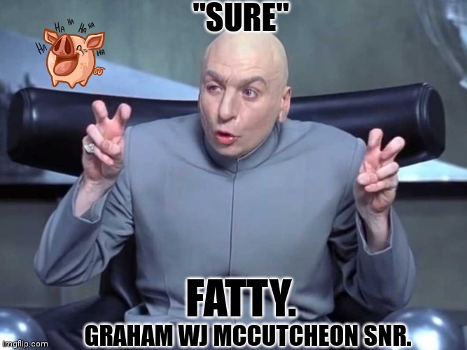 Dr Evil air quotes | "SURE"; FATTY. GRAHAM WJ MCCUTCHEON SNR. | image tagged in dr evil air quotes | made w/ Imgflip meme maker