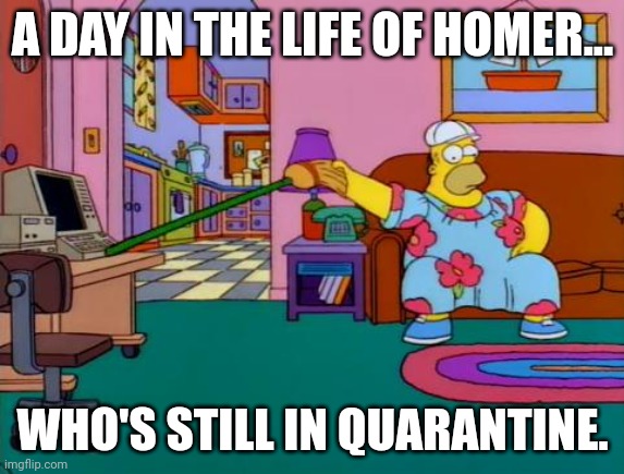 Working from Home Homer | A DAY IN THE LIFE OF HOMER... WHO'S STILL IN QUARANTINE. | image tagged in working from home homer | made w/ Imgflip meme maker