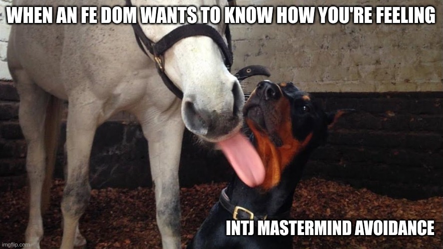 INTJ Avoidance | WHEN AN FE DOM WANTS TO KNOW HOW YOU'RE FEELING; INTJ MASTERMIND AVOIDANCE | image tagged in dodge lick,intj,mbti,myers briggs,personality,feelings | made w/ Imgflip meme maker