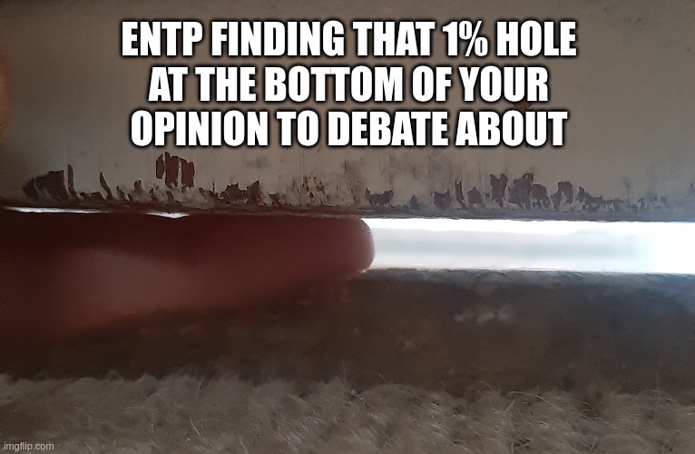 ENTP Holes | ENTP FINDING THAT 1% HOLE
AT THE BOTTOM OF YOUR
OPINION TO DEBATE ABOUT | image tagged in entp,holes,mbti,personality,myers briggs,opinions | made w/ Imgflip meme maker
