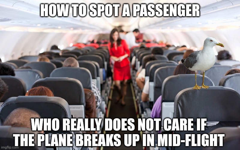 You can tell the passengers who don't have a care in the world about flying | HOW TO SPOT A PASSENGER; WHO REALLY DOES NOT CARE IF THE PLANE BREAKS UP IN MID-FLIGHT | image tagged in flight,birds,crash,danger,not cool,lucky | made w/ Imgflip meme maker