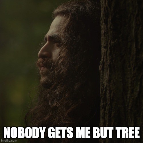 Nobody gets me but tree | NOBODY GETS ME BUT TREE | image tagged in nobody gets me,lonely,forest | made w/ Imgflip meme maker