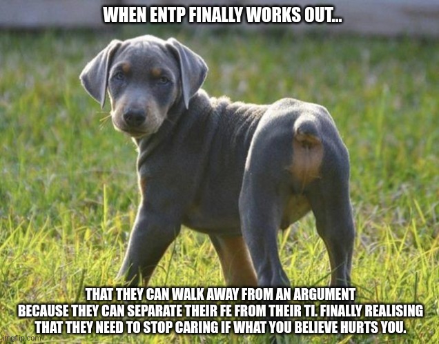 ENTP Secrets | WHEN ENTP FINALLY WORKS OUT... THAT THEY CAN WALK AWAY FROM AN ARGUMENT
BECAUSE THEY CAN SEPARATE THEIR FE FROM THEIR TI. FINALLY REALISING THAT THEY NEED TO STOP CARING IF WHAT YOU BELIEVE HURTS YOU. | image tagged in puppy looking back,entp,mbti,myers briggs,personality,argument | made w/ Imgflip meme maker