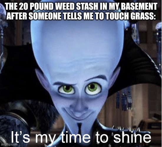 Wish they told me to touch white chalk smh | THE 20 POUND WEED STASH IN MY BASEMENT AFTER SOMEONE TELLS ME TO TOUCH GRASS: | image tagged in megamind it s my time to shine | made w/ Imgflip meme maker