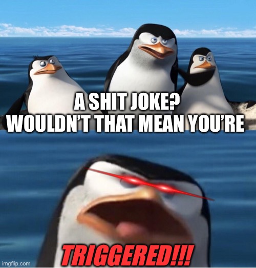 Wouldn't that make you | A SHIT JOKE? WOULDN’T THAT MEAN YOU’RE TRIGGERED!!! | image tagged in wouldn't that make you | made w/ Imgflip meme maker