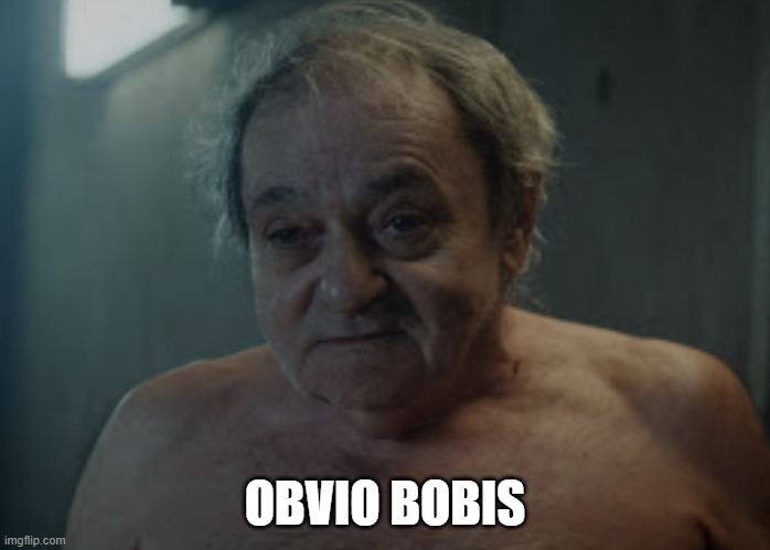 Obviously | OBVIO BOBIS | image tagged in obviously,obvio,obvio bobis | made w/ Imgflip meme maker