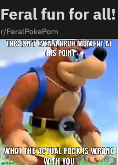 it also has 80k followers | image tagged in this isn't even a bruh moment at this point | made w/ Imgflip meme maker