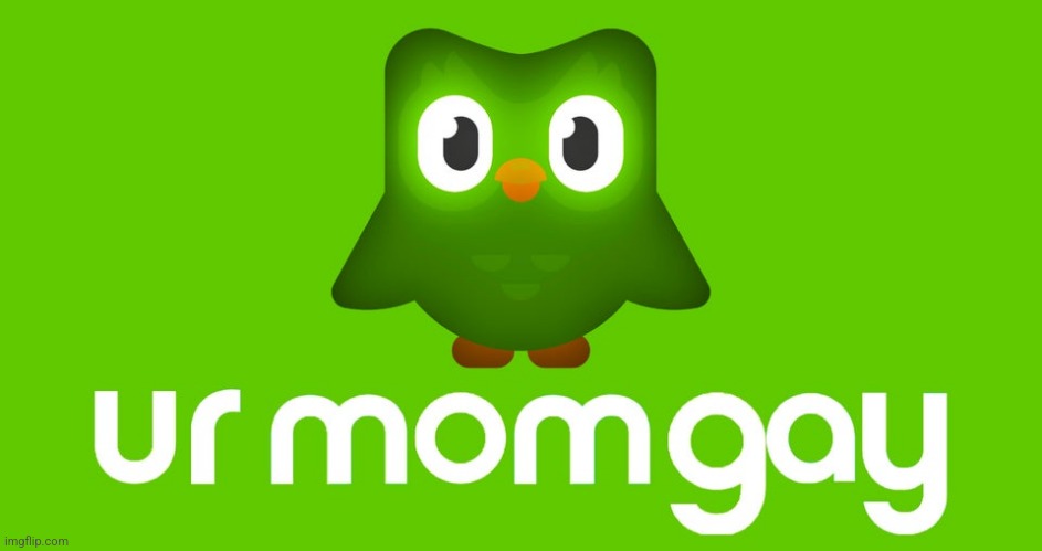 Duo ur mom | image tagged in duo ur mom | made w/ Imgflip meme maker
