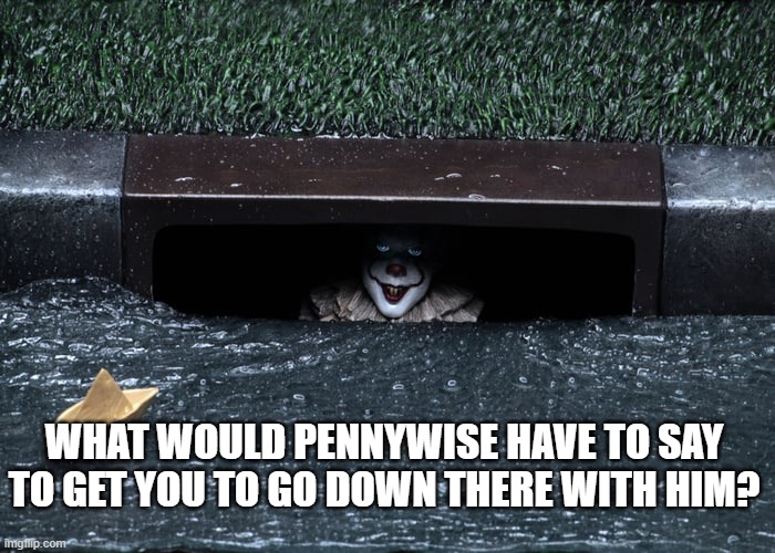 We All Float Down Here... Sounds Fun To Me! | WHAT WOULD PENNYWISE HAVE TO SAY TO GET YOU TO GO DOWN THERE WITH HIM? | image tagged in funny memes,scary,memes,funny | made w/ Imgflip meme maker