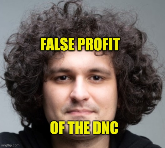FTX Scammer | FALSE PROFIT; OF THE DNC | image tagged in sam bankman fried,dnc,liberal hypocrisy,criminal minds,brainwashed,scammers | made w/ Imgflip meme maker