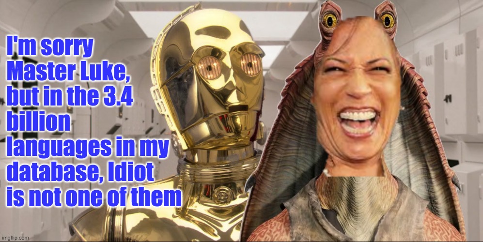 C3PO Cannot Translate from Idiot to real English | I'm sorry Master Luke, but in the 3.4 billion languages in my database, Idiot is not one of them | image tagged in c3po,jar jar harris | made w/ Imgflip meme maker