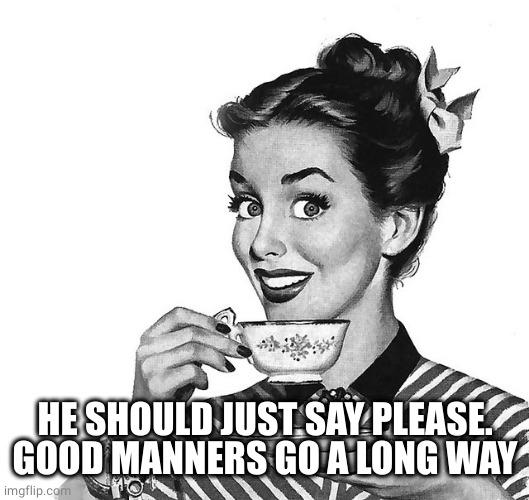 Retro woman teacup | HE SHOULD JUST SAY PLEASE.
GOOD MANNERS GO A LONG WAY | image tagged in retro woman teacup | made w/ Imgflip meme maker