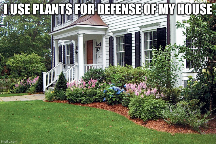 ???? | I USE PLANTS FOR DEFENSE OF MY HOUSE | image tagged in plants vs zombies | made w/ Imgflip meme maker