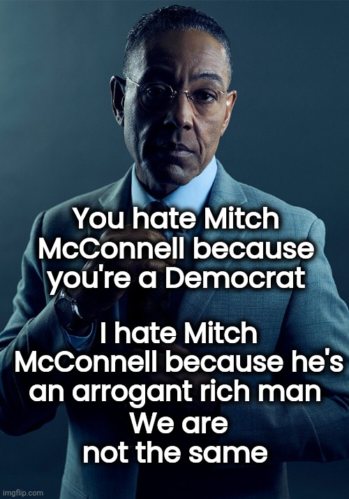 Gus Fring we are not the same | You hate Mitch McConnell because you're a Democrat I hate Mitch McConnell because he's an arrogant rich man We are not the same | image tagged in gus fring we are not the same | made w/ Imgflip meme maker