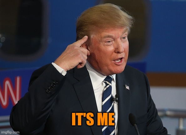 Donald Trump Pointing to His Head | IT'S ME | image tagged in donald trump pointing to his head | made w/ Imgflip meme maker