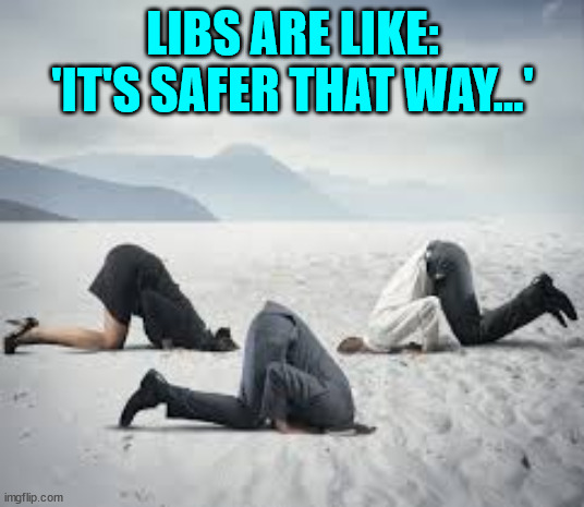 ostrich head in sand | LIBS ARE LIKE: 'IT'S SAFER THAT WAY...' | image tagged in ostrich head in sand | made w/ Imgflip meme maker