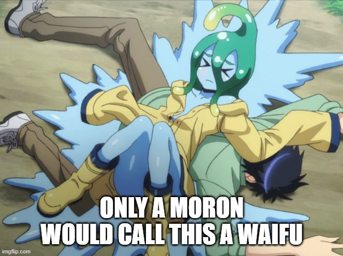 Only a moron would call Suu a waifu | ONLY A MORON WOULD CALL THIS A WAIFU | image tagged in monster musume suu,suu | made w/ Imgflip meme maker