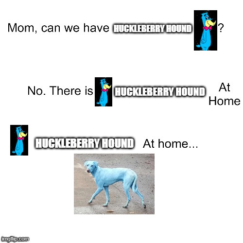 Mom cam we have Huckleberry Hound at home? | HUCKLEBERRY HOUND; HUCKLEBERRY HOUND; HUCKLEBERRY HOUND | image tagged in mom can we have | made w/ Imgflip meme maker