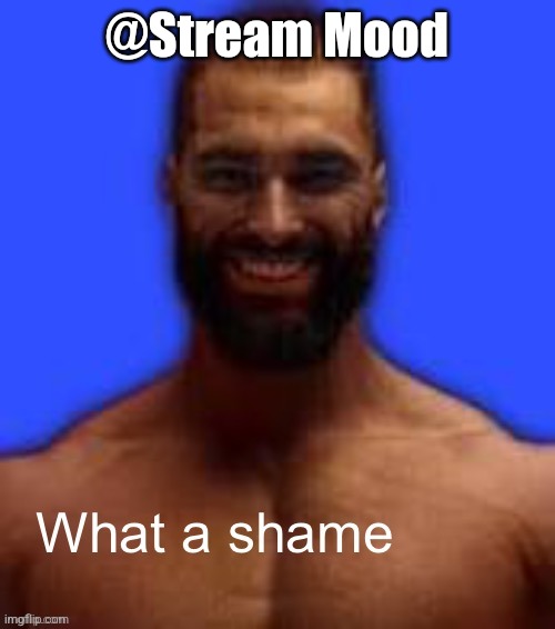 What a shame | @Stream Mood | image tagged in what a shame | made w/ Imgflip meme maker