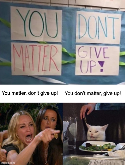 You matter, don’t give up! You don’t matter, give up! | image tagged in memes,woman yelling at cat,funny,never gonna give you up | made w/ Imgflip meme maker