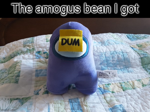 The amogus bean I got | made w/ Imgflip meme maker
