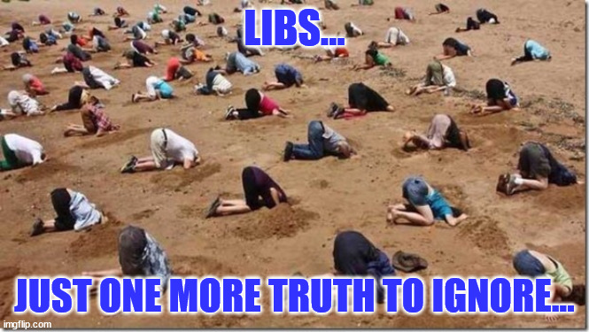 Head in sand | LIBS... JUST ONE MORE TRUTH TO IGNORE... | image tagged in head in sand | made w/ Imgflip meme maker