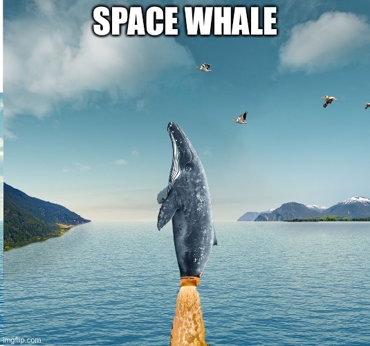 Whale in space | SPACE WHALE | image tagged in emes,memes | made w/ Imgflip meme maker