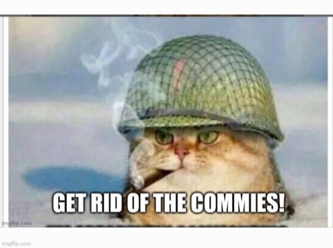 Time for a Purgecat | image tagged in butthurt liberals,finished,military industrial complex,kitty,general | made w/ Imgflip meme maker