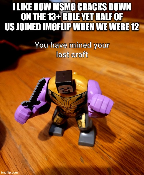 I found imgflip while looking at memes in study hall in 7th grade, wbu guys | I LIKE HOW MSMG CRACKS DOWN ON THE 13+ RULE YET HALF OF US JOINED IMGFLIP WHEN WE WERE 12 | image tagged in youve mined your last craft | made w/ Imgflip meme maker