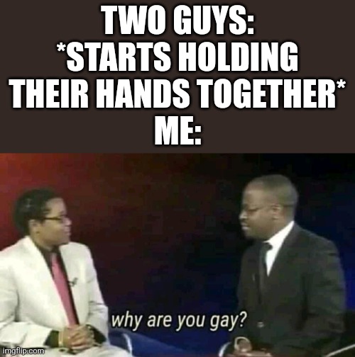 I don't know, man... | TWO GUYS:
*STARTS HOLDING THEIR HANDS TOGETHER*
ME: | image tagged in why are you gay | made w/ Imgflip meme maker