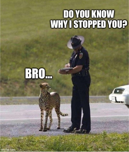 I am speed | DO YOU KNOW WHY I STOPPED YOU? BRO… | image tagged in funny memes | made w/ Imgflip meme maker