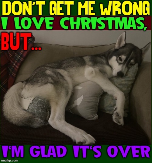 The Meaning of Dog Tired (pictured) | image tagged in vince vance,dogs,dog tired,christmas memes,funny animal meme,tired | made w/ Imgflip meme maker