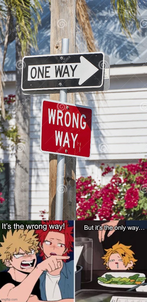 Wrong Way One Way | It’s the wrong way! But it’s the only way… | image tagged in bakugo yelling at denki | made w/ Imgflip meme maker