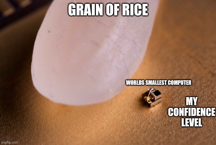 I'm pretty sure it's in the negatives | GRAIN OF RICE; WORLDS SMALLEST COMPUTER; MY CONFIDENCE LEVEL | image tagged in grain of rice,why are you reading this | made w/ Imgflip meme maker