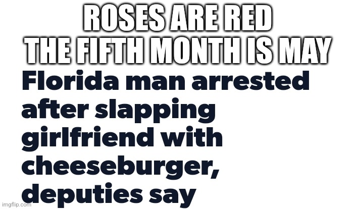 ROSES ARE RED
THE FIFTH MONTH IS MAY | made w/ Imgflip meme maker