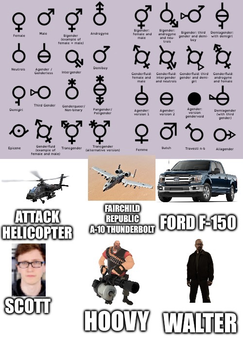 Gender chart Memes Imgflip