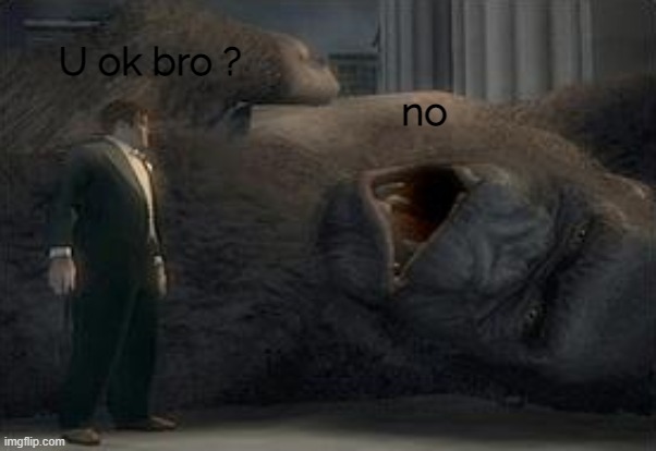 U ok bro ? no | made w/ Imgflip meme maker