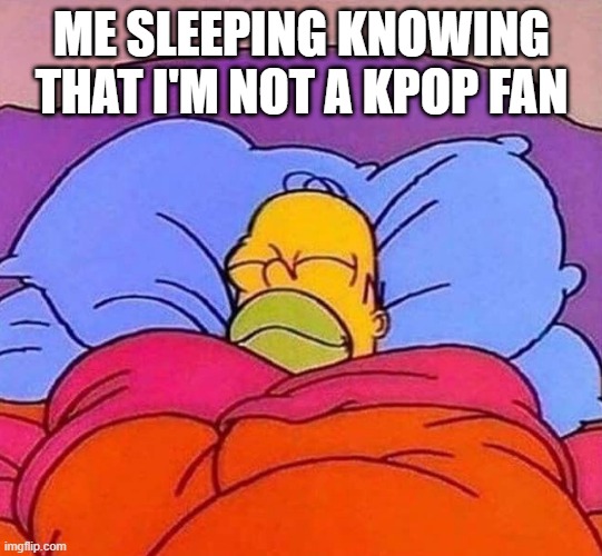 bro, who like kpop | ME SLEEPING KNOWING THAT I'M NOT A KPOP FAN | image tagged in homer simpson sleeping peacefully | made w/ Imgflip meme maker