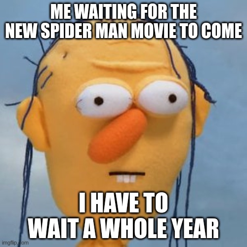 WHYYYY | ME WAITING FOR THE NEW SPIDER MAN MOVIE TO COME; I HAVE TO WAIT A WHOLE YEAR | image tagged in dont hug me im scared | made w/ Imgflip meme maker