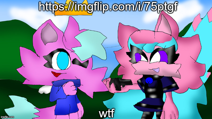 kitty and fly | https://imgflip.com/i/75ptgf; wtf | image tagged in kitty and fly | made w/ Imgflip meme maker