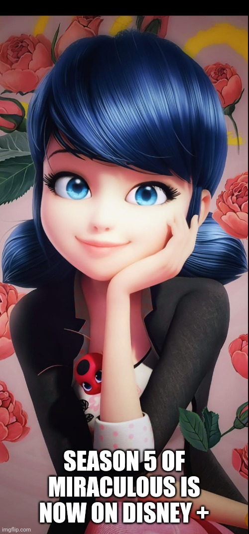 Miraculous ladybug | SEASON 5 OF MIRACULOUS IS NOW ON DISNEY + | image tagged in miraculous ladybug | made w/ Imgflip meme maker