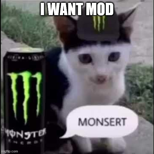 no | I WANT MOD | image tagged in monsert | made w/ Imgflip meme maker