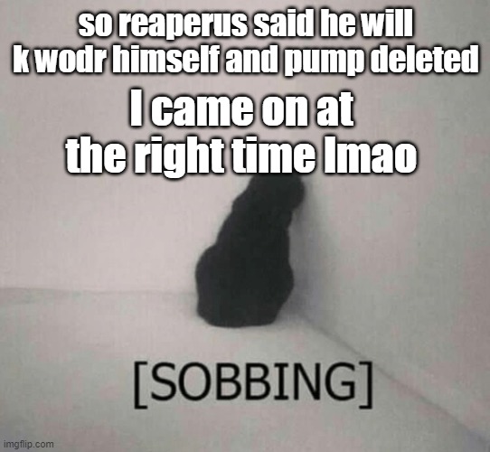 Sobbing cat | so reaperus said he will k wodr himself and pump deleted; I came on at the right time lmao | image tagged in sobbing cat | made w/ Imgflip meme maker