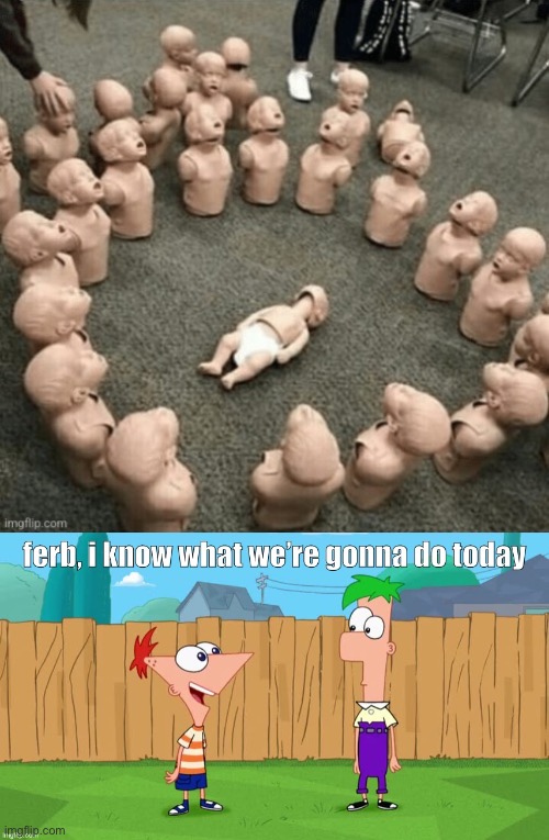 CPR dolls | image tagged in ferb i know what we re gonna do today,cpr,dolls | made w/ Imgflip meme maker