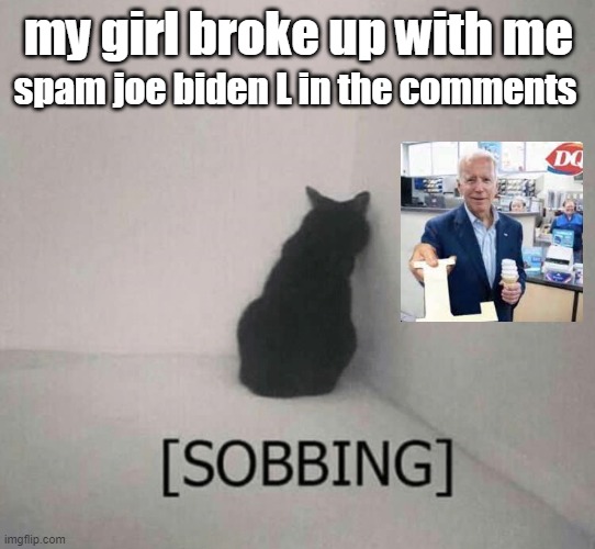 Sobbing cat | spam joe biden L in the comments; my girl broke up with me | image tagged in sobbing cat | made w/ Imgflip meme maker