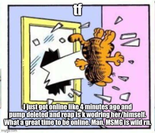 Garfield gets thrown out of a window | tf; I just got online like 4 minutes ago and pump deleted and reap is k wodring her/himself. What a great time to be online. Man, MSMG is wild rn. | image tagged in garfield gets thrown out of a window | made w/ Imgflip meme maker