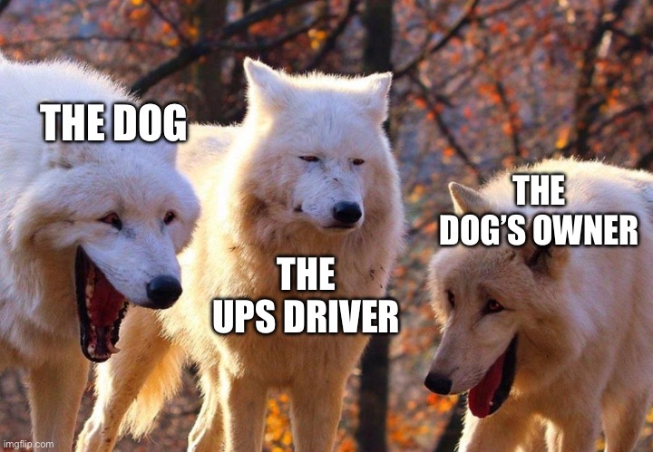 2/3 wolves laugh | THE DOG THE UPS DRIVER THE DOG’S OWNER | image tagged in 2/3 wolves laugh | made w/ Imgflip meme maker