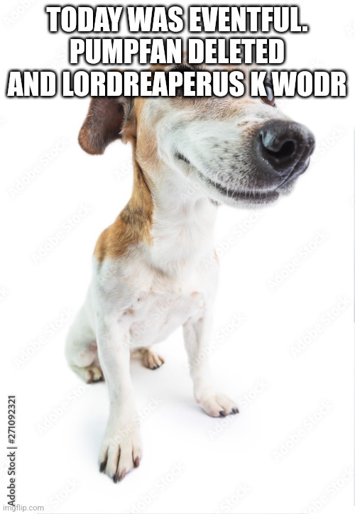 dog | TODAY WAS EVENTFUL. PUMPFAN DELETED AND LORDREAPERUS K WODR | image tagged in dog | made w/ Imgflip meme maker