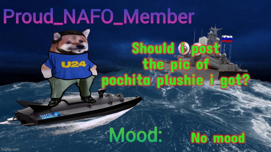 Proud_NAFO_Member annoucment template | Should i post the pic of pochita plushie i got? No mood | image tagged in proud_nafo_member annoucment template | made w/ Imgflip meme maker